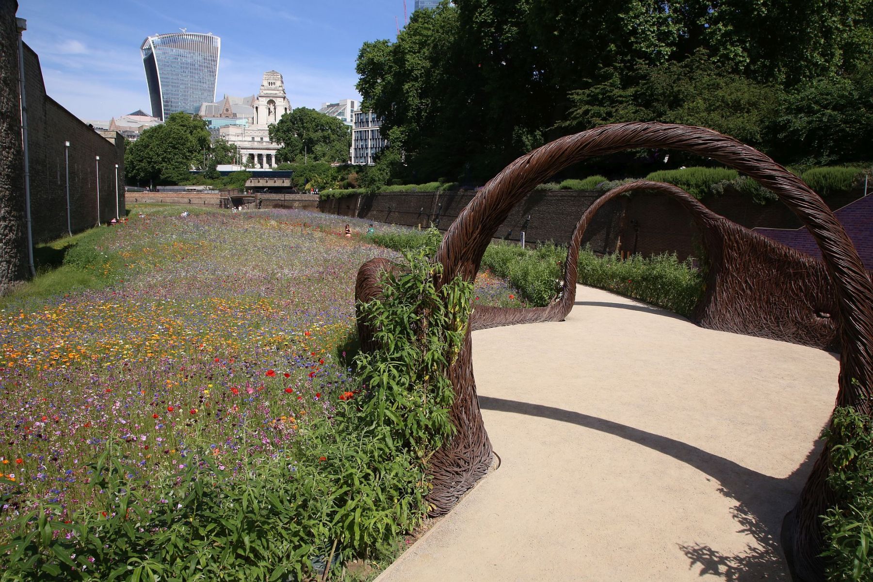 Superbloom at the Tower of London