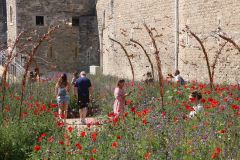 Superbloom at the Tower of London