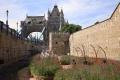 Superbloom at the Tower of London