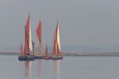 IMG_6380