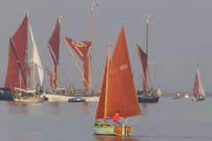 IMG_6446