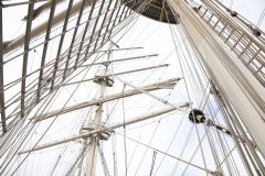 IMG_6795