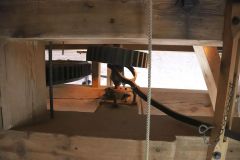 IMG_9531