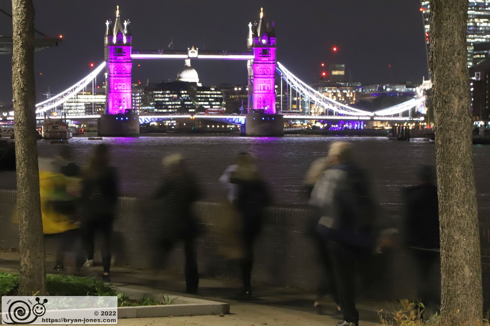 Tower Bridge lit in purple seen from Cherry Garden at night