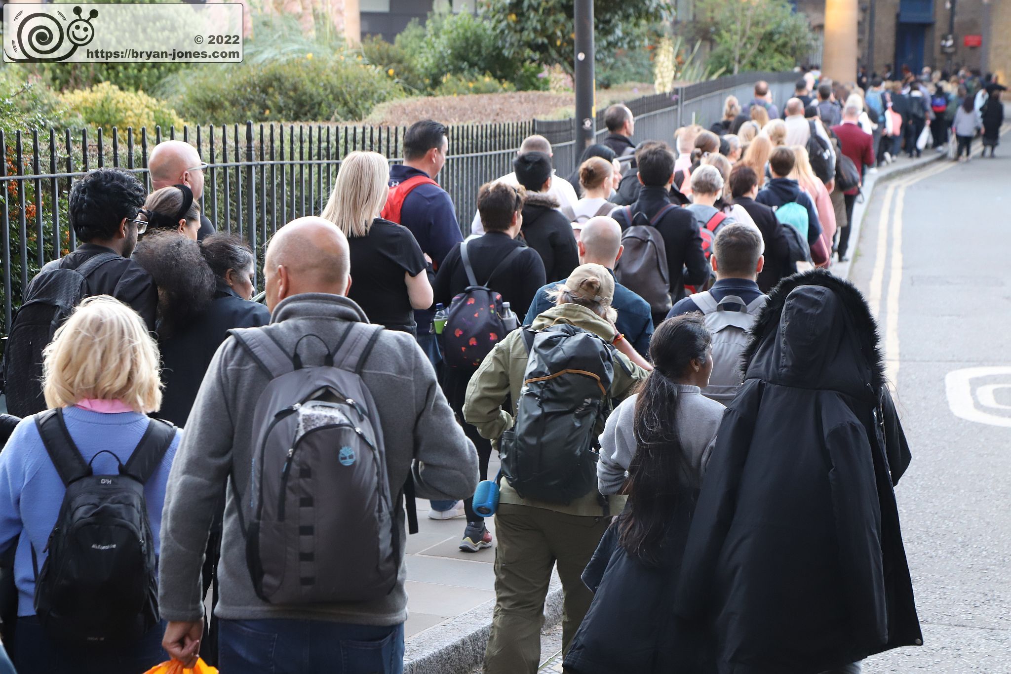 The lying-in-state queue in Bermondsey Wall West