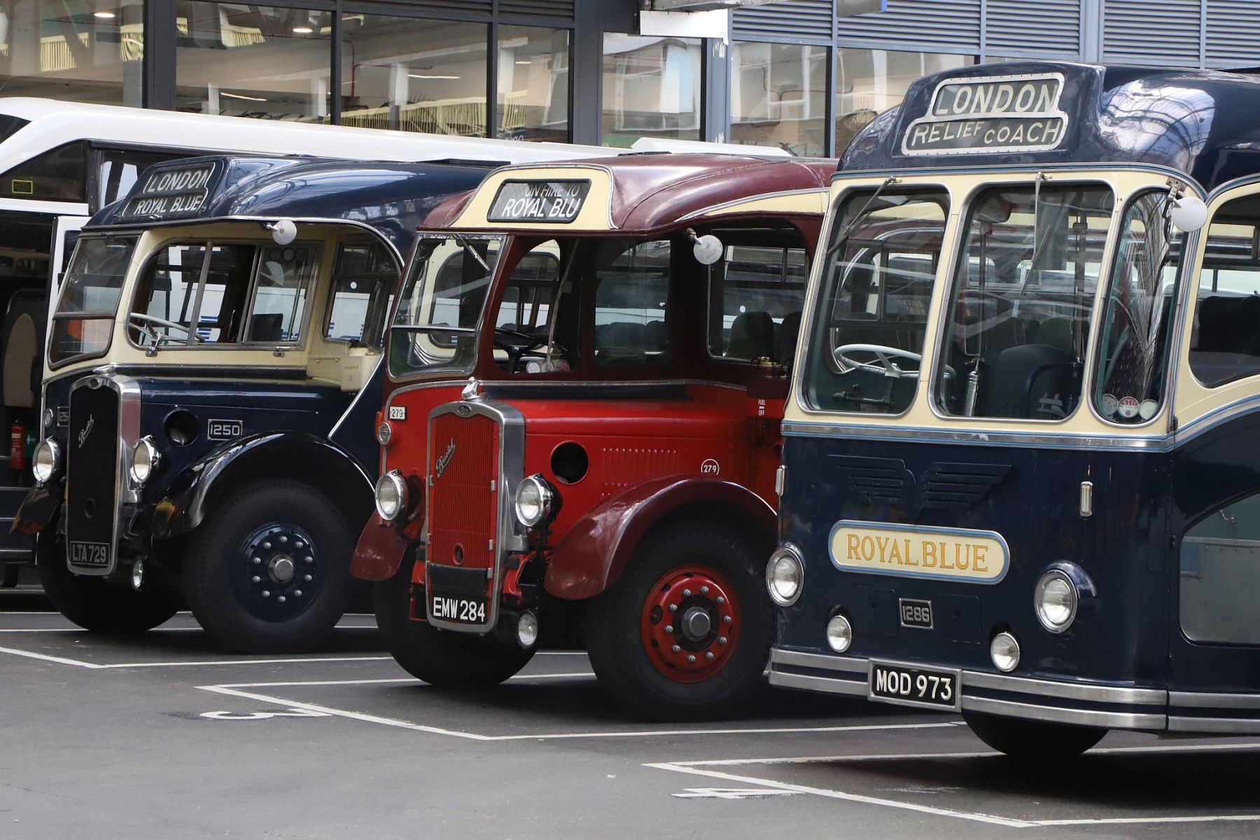 LTA729, EMW284, MOD973 at Victoria Coach Station 2022