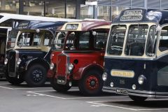 LTA729, EMW284, MOD973 at Victoria Coach Station 2022
