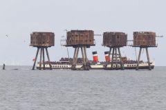 Paddle Steamer Waverley in the Thames estuary at Shivering Sands Maunsell Fort