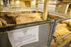 Billingsgate Roman House and Roman Baths in the City of London on Lower Thames Street. Photo taken in 2022.