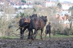 Head Horseman Tom Nixon of Operation Centaur guides shire horses Joey and William dragging a farrow along the cross country running course on Hampstead Heath. 06-Mar-2022. 6th March 2022.