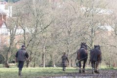 Head Horseman Tom Nixon of Operation Centaur guides shire horses Joey and William dragging a farrow along the cross country running course on Hampstead Heath. 06-Mar-2022. 6th March 2022.