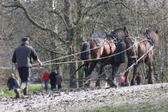 Head Horseman Tom Nixon of Operation Centaur guides shire horses Joey and William dragging a farrow along the cross country running course on Hampstead Heath. 06-Mar-2022. 6th March 2022.