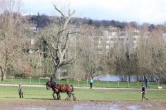 Head Horseman Tom Nixon of Operation Centaur guides shire horses Joey and William dragging a farrow along the cross country running course on Hampstead Heath. 06-Mar-2022. 6th March 2022.