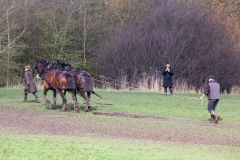 Head Horseman Tom Nixon of Operation Centaur guides shire horses Joey and William dragging a farrow along the cross country running course on Hampstead Heath. 06-Mar-2022. 6th March 2022.