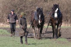 Head Horseman Tom Nixon of Operation Centaur guides shire horses Joey and William dragging a farrow along the cross country running course on Hampstead Heath. 06-Mar-2022. 6th March 2022.