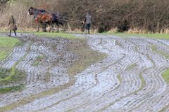 Head Horseman Tom Nixon of Operation Centaur guides shire horses Joey and William dragging a farrow along the cross country running course on Hampstead Heath. 06-Mar-2022. 6th March 2022.