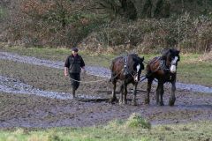 Head Horseman Tom Nixon of Operation Centaur guides shire horses Joey and William dragging a farrow along the cross country running course on Hampstead Heath. 06-Mar-2022. 6th March 2022.