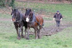 Head Horseman Tom Nixon of Operation Centaur guides shire horses Joey and William dragging a farrow along the cross country running course on Hampstead Heath. 06-Mar-2022. 6th March 2022.