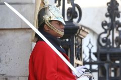 IMG_9721