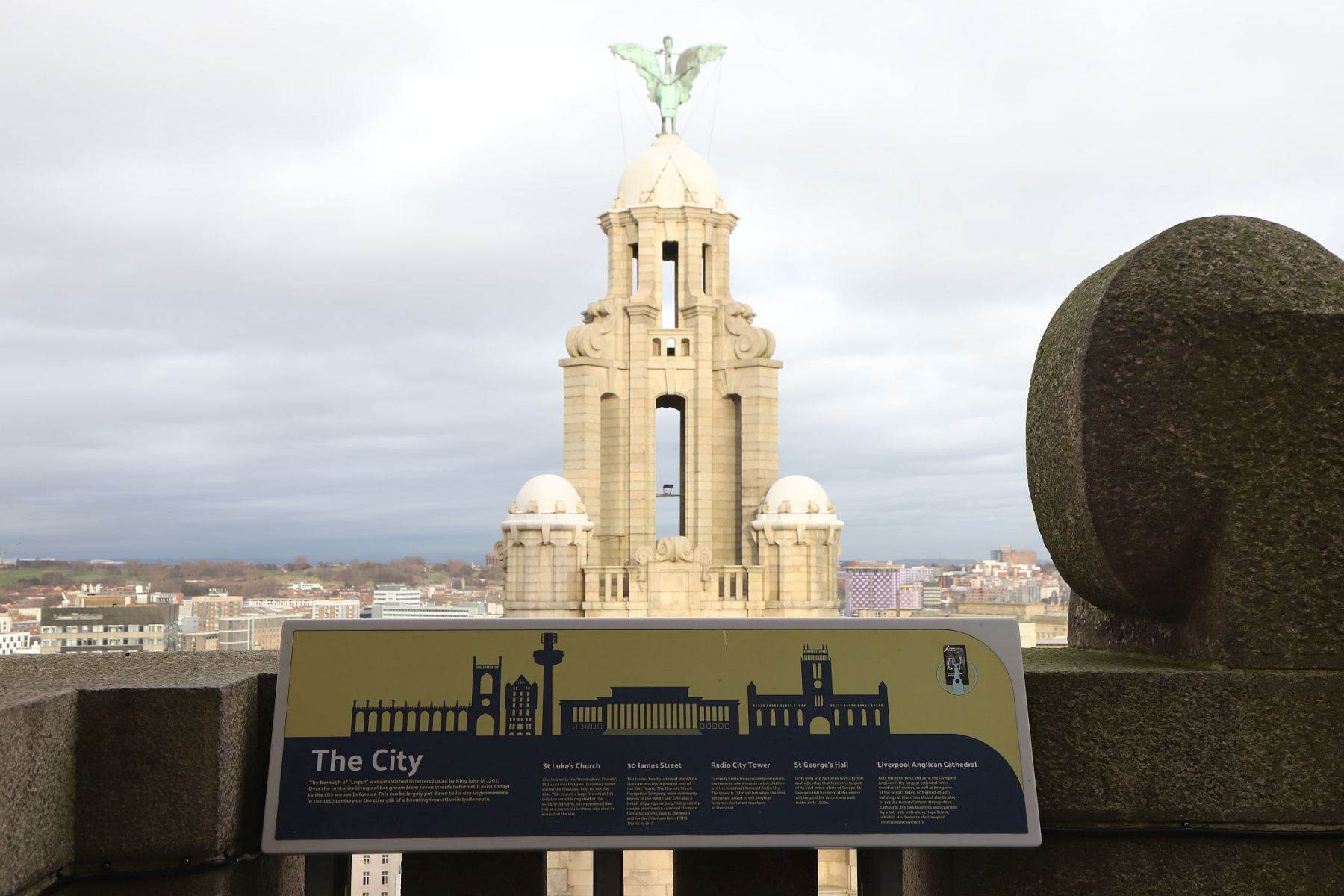 Royal Liver Building 360 Tower Tour. Bertie the Liver Bird seen from the roof, looking out over Liverpool.