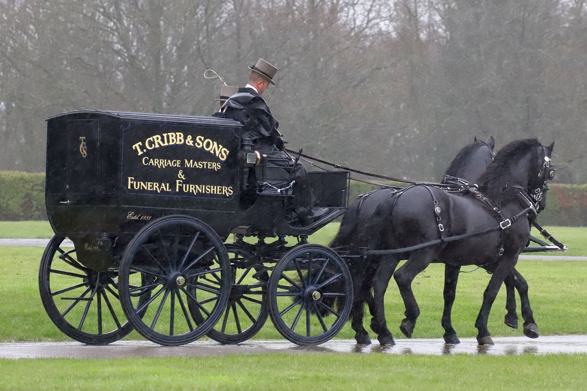 An entrant in the 2023 London Harness Horse Parade held at the South of England Showground in Ardingly, West Sussex, amidst driving rain. 10-Apr-2023. IMG_5939