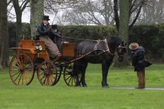 An entrant in the 2023 London Harness Horse Parade held at the South of England Showground in Ardingly, West Sussex, amidst driving rain. 10-Apr-2023. IMG_5862