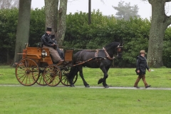 An entrant in the 2023 London Harness Horse Parade held at the South of England Showground in Ardingly, West Sussex, amidst driving rain. 10-Apr-2023. IMG_5865