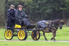 An entrant in the 2023 London Harness Horse Parade held at the South of England Showground in Ardingly, West Sussex, amidst driving rain. 10-Apr-2023. IMG_5872