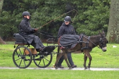 An entrant in the 2023 London Harness Horse Parade held at the South of England Showground in Ardingly, West Sussex, amidst driving rain. 10-Apr-2023. IMG_5880