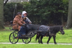 An entrant in the 2023 London Harness Horse Parade held at the South of England Showground in Ardingly, West Sussex, amidst driving rain. 10-Apr-2023. IMG_5883