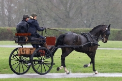 An entrant in the 2023 London Harness Horse Parade held at the South of England Showground in Ardingly, West Sussex, amidst driving rain. 10-Apr-2023. IMG_5910