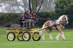 An entrant in the 2023 London Harness Horse Parade held at the South of England Showground in Ardingly, West Sussex, amidst driving rain. 10-Apr-2023. IMG_5918