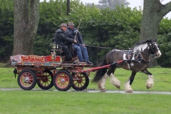 An entrant in the 2023 London Harness Horse Parade held at the South of England Showground in Ardingly, West Sussex, amidst driving rain. 10-Apr-2023. IMG_5928