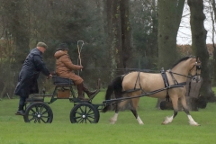 An entrant in the 2023 London Harness Horse Parade held at the South of England Showground in Ardingly, West Sussex, amidst driving rain. 10-Apr-2023. IMG_5929