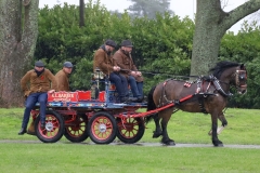An entrant in the 2023 London Harness Horse Parade held at the South of England Showground in Ardingly, West Sussex, amidst driving rain. 10-Apr-2023. IMG_5940