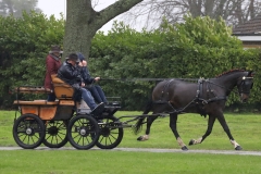 An entrant in the 2023 London Harness Horse Parade held at the South of England Showground in Ardingly, West Sussex, amidst driving rain. 10-Apr-2023. IMG_5946