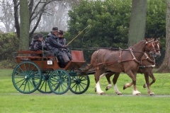 An entrant in the 2023 London Harness Horse Parade held at the South of England Showground in Ardingly, West Sussex, amidst driving rain. 10-Apr-2023. IMG_5949