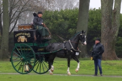 An entrant in the 2023 London Harness Horse Parade held at the South of England Showground in Ardingly, West Sussex, amidst driving rain. 10-Apr-2023. IMG_5958