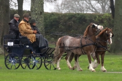 An entrant in the 2023 London Harness Horse Parade held at the South of England Showground in Ardingly, West Sussex, amidst driving rain. 10-Apr-2023. IMG_5960