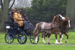 An entrant in the 2023 London Harness Horse Parade held at the South of England Showground in Ardingly, West Sussex, amidst driving rain. 10-Apr-2023. IMG_5962