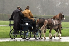 An entrant in the 2023 London Harness Horse Parade held at the South of England Showground in Ardingly, West Sussex, amidst driving rain. 10-Apr-2023. IMG_5967