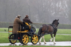 An entrant in the 2023 London Harness Horse Parade held at the South of England Showground in Ardingly, West Sussex, amidst driving rain. 10-Apr-2023. IMG_5968
