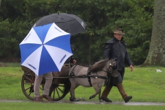 An entrant in the 2023 London Harness Horse Parade held at the South of England Showground in Ardingly, West Sussex, amidst driving rain. 10-Apr-2023. IMG_5970