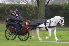 An entrant in the 2023 London Harness Horse Parade held at the South of England Showground in Ardingly, West Sussex, amidst driving rain. 10-Apr-2023. IMG_5972