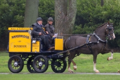 An entrant in the 2023 London Harness Horse Parade held at the South of England Showground in Ardingly, West Sussex, amidst driving rain. 10-Apr-2023. IMG_5976