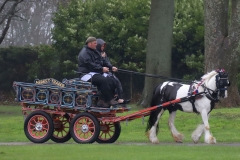 An entrant in the 2023 London Harness Horse Parade held at the South of England Showground in Ardingly, West Sussex, amidst driving rain. 10-Apr-2023. IMG_6000