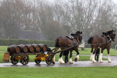 An entrant in the 2023 London Harness Horse Parade held at the South of England Showground in Ardingly, West Sussex, amidst driving rain. 10-Apr-2023. IMG_6001