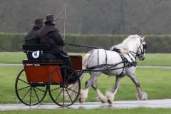 An entrant in the 2023 London Harness Horse Parade held at the South of England Showground in Ardingly, West Sussex, amidst driving rain. 10-Apr-2023. IMG_6009