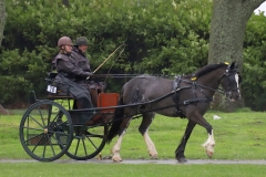 An entrant in the 2023 London Harness Horse Parade held at the South of England Showground in Ardingly, West Sussex, amidst driving rain. 10-Apr-2023. IMG_6016