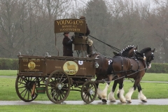 An entrant in the 2023 London Harness Horse Parade held at the South of England Showground in Ardingly, West Sussex, amidst driving rain. 10-Apr-2023. IMG_6022